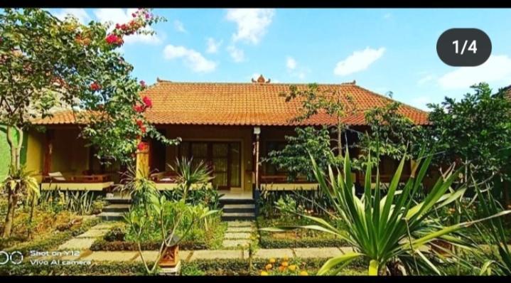 Pomelo Guest House อูบุด ภายนอก รูปภาพ